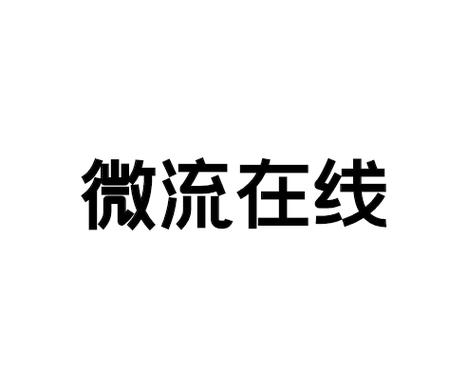 深圳市微流在線信息技術服務——信息技術咨詢的創新引航者